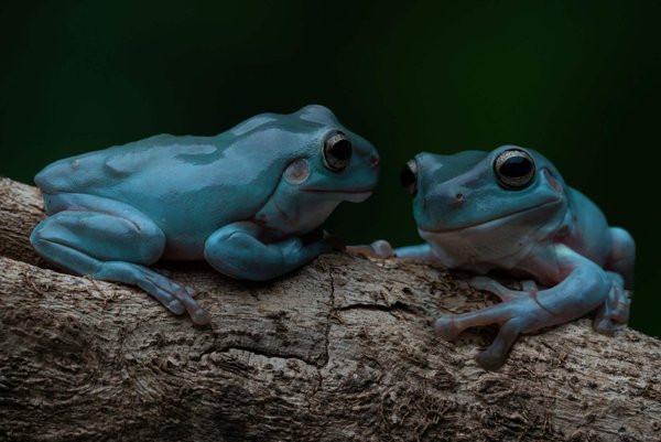 Comment associer des collants colorés avec des jupes neutres pour dynamiser une tenue?